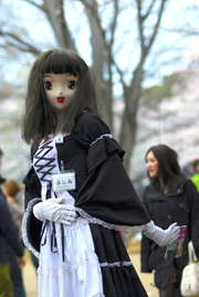 s-DSC_0243a
